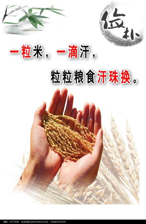 农村房产证更换户主申请书怎么书